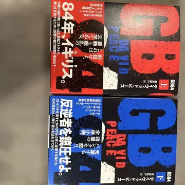 [ GB84 ] 데이비드 피스 상하의 세트