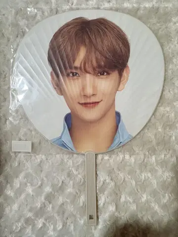 SEVENTEEN 조슈아 부채
