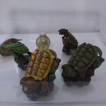 생물대도감 미니 컬렉션 거북이 01 온라인판 풀 컴프