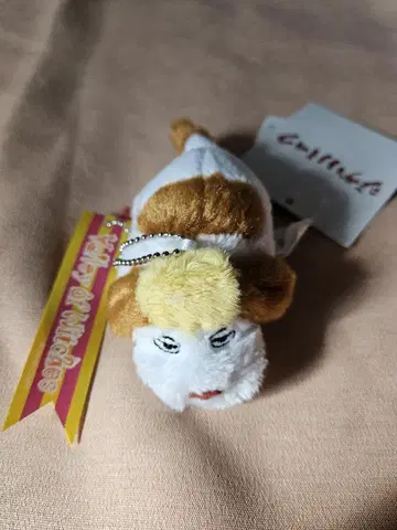 힌 봉제 인형 키링