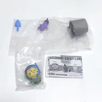 [ 미개봉 ] 코지코지 해수욕장