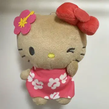 산리오 일광화상 키티 헬로키티 아베일 마스코트
