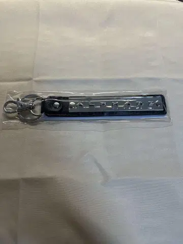 알파도 40계 정품 키링