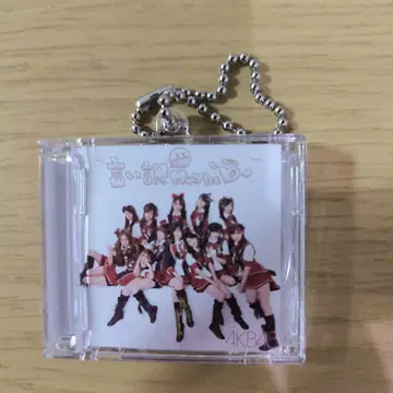 AKB48 역시나 스테이크 콜라보 역대 싱글 디스크 키링