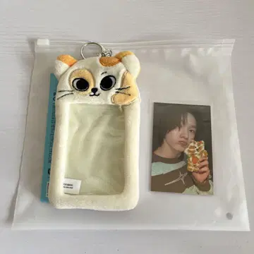 성호 boynextdoor 트레이딩 카드 케이스 CATBBI 캬삐 켓삐