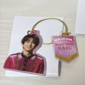 에비라이 하루 아크릴 키링