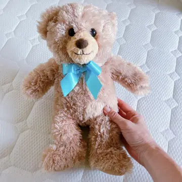 허니 테디 베어 스카이블루 리본 약 30cm