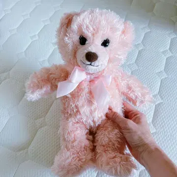 핑크색 리본 포함 봉제 인형 곰