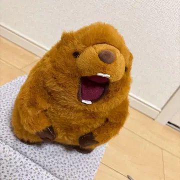 시끄러운 수컷 울음소리!! 마모트 음성 봉제 인형