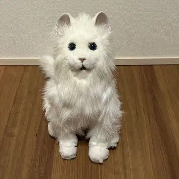 세가토이즈 꿈 고양이 셀럽 완구 봉제 인형