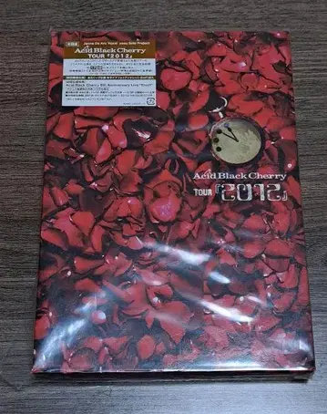 AcidBlackCherry TOUR 2012 LIVE DVD 초회반