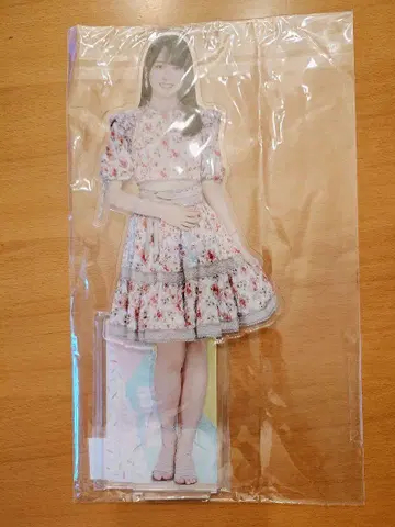 노기자카46 카키 하루카 BIG 아크릴 스탠드 lucky bag 2023