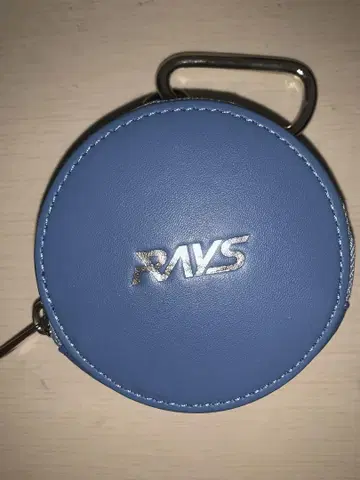 SnowManRAYS 파우치