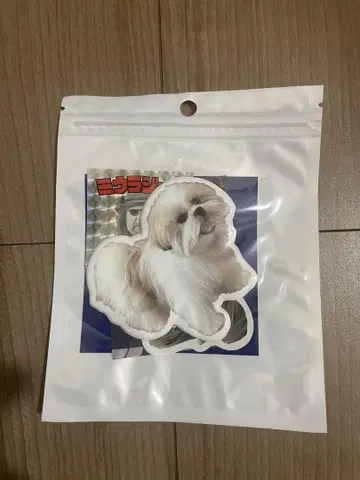 모코조 스티커 미우라 준 미개봉 새상품