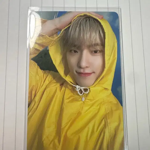 세븐틴 헤븐 캐럿반 디노 포카 양도