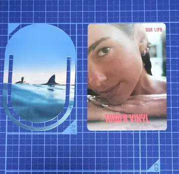 Dua Lipa 듀아 리파 카드와 북마크 세트