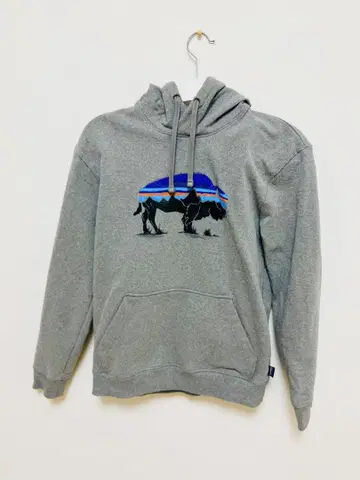 피츠로이 바이슨 patagonia 남성용 S 사이즈 후드티 하와이