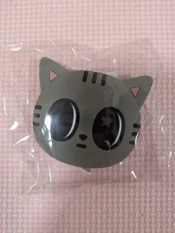 다고냥 메이저