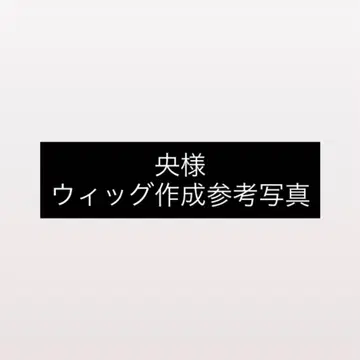 참고 사진