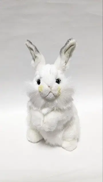 HANSA 봉제 인형 토끼 화이트