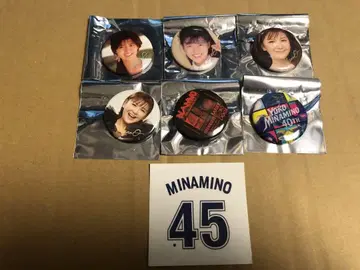 미나미노 요코 40th 투어 배지 6개 세트