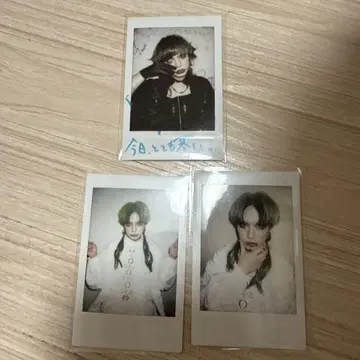 코도모 드래곤 하야토 폴라로이드