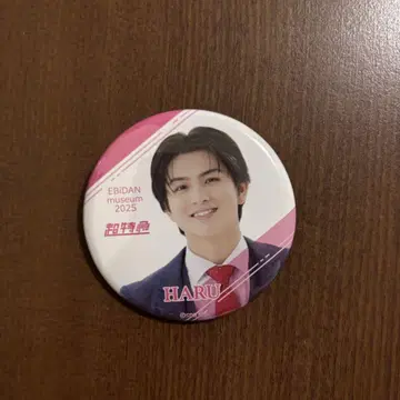 EBiDAN museum 2025 캔뱃지 초특급 하루 카시와기 하루