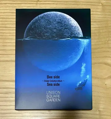 UNISON SQUARE GARDEN Bee side Sea side