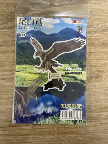 흰꼬리수리 3D 퍼즐