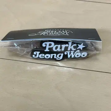 treasure 정우 light stick 라이트 링
