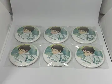 하이큐 캔뱃지 컬렉션 횡단막 풀컬러 오이카와 토오루 6개 세트