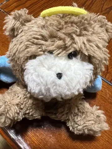 히나타자카46 카토 시호 천사와 토시 곰 봉제 인형 키링