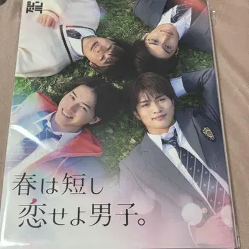 봄은 짧아 연애하라 남자 Blu-ray