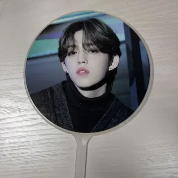SEVENTEEN 에스크 부채