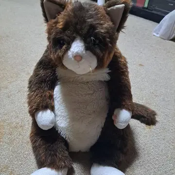 카들리 고양이 블루스 레어 봉제 인형