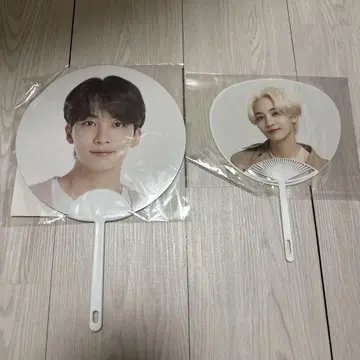 SEVENTEEN 세부치 정한 부채