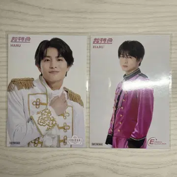 초특급 하루 EBiDAN museum 입장 혜택