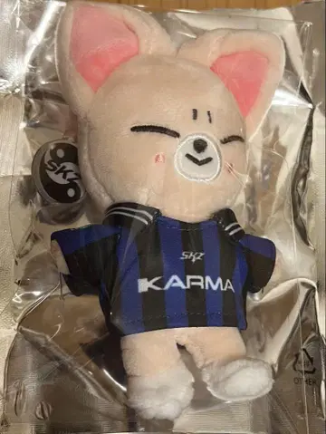 Straykids KARMA 아이엔 폭시니 폭시니