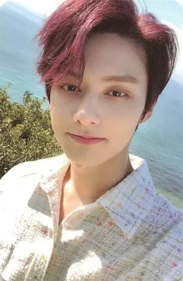 SEVENTEEN JUN [Heng:garae] DUL ver.