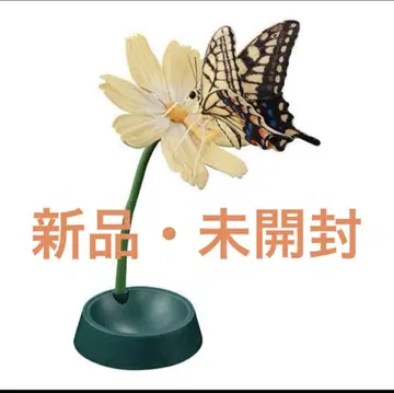 생물대도감 어드밴스 호랑나비 황호랑나비