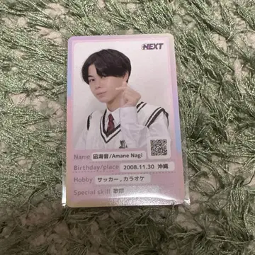 쁘띠 에비 트레이딩 카드 나기미온