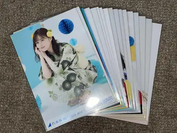 노기자카 브로마이드 묶음 판매 이쿠타 에리카