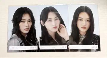 야마자키 텐 브로마이드 묶음 판매