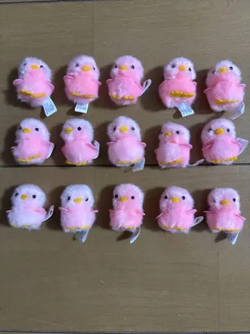 삐요리나 노멀 병아리 핑크 15깃털