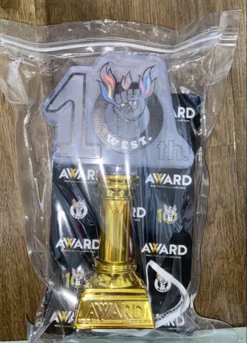 10th WEST AWARD 응원봉