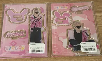 초코라비 사쿠라 사쿠라군 실사 아크릴 스탠드