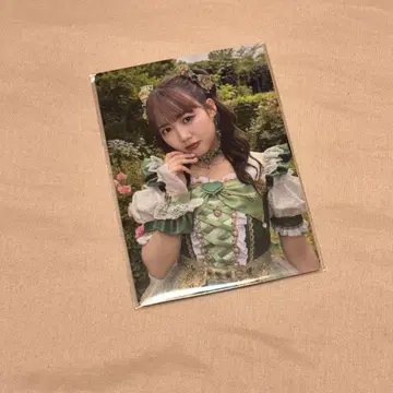도키센 히요린 라키도로 A상