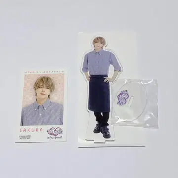 러브러쉬 사쿠라 군