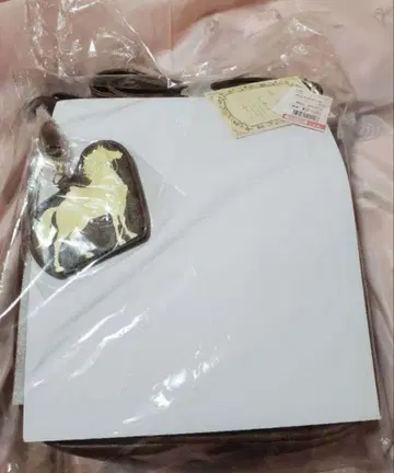 여름방학 특별 가격 플린 라이더 유진 숄더백