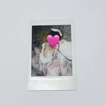 러브시크 타이요 핑 폴라로이드